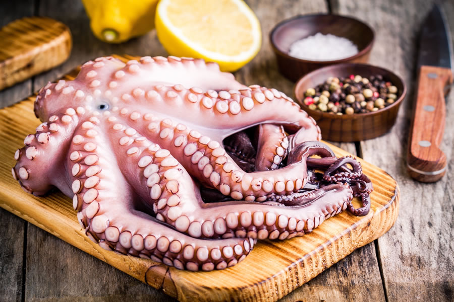Octopus
