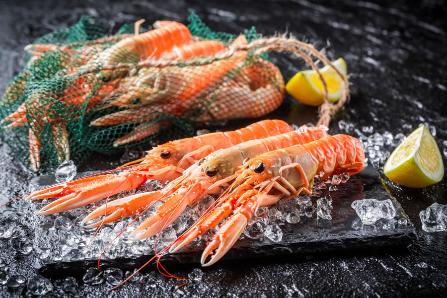 Langoustines Whloe 16/20