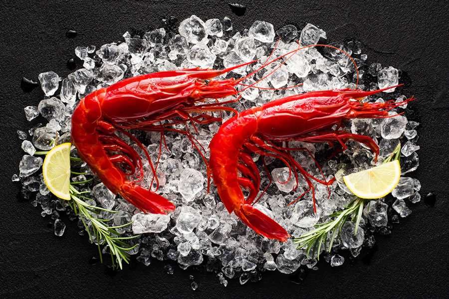 Wild Carabineros