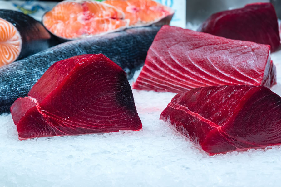 Blue Fin Tuna